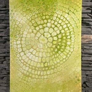 Lime Rings